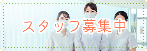 スタッフ募集停止中